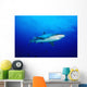 Thailand, Silvertip Shark In Clear Blue Water Wall Mural