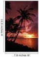 Guam, Tumon Bay, Bright Red Sunset And Silhouetted Palms On Beach Wall Mural