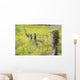 Field Of Yellow Wildflowers With A Fence Running Through It Wall Mural