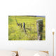 Field Of Yellow Wildflowers With A Fence Running Through It Wall Mural