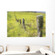 Field Of Yellow Wildflowers With A Fence Running Through It Wall Mural