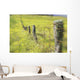 Field Of Yellow Wildflowers With A Fence Running Through It Wall Mural