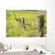 Field Of Yellow Wildflowers With A Fence Running Through It Wall Mural