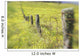 Field Of Yellow Wildflowers With A Fence Running Through It Wall Mural