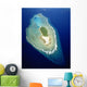 Micronesia, Aerial view of island near Ulithi Yap State Wall Mural