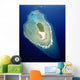Micronesia, Aerial view of island near Ulithi Yap State Wall Mural