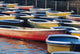 Japan, Tokyo, Ueno Park, Colorful Row Boats Tied Together On Lake Wall Mural