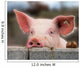 Cute Young Pig Wall Mural