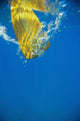 Underwater View Of Yellow Paddle Stroking Water, Creating Bubbles Wall Mural