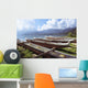 Line Of Outrigger Canoes On Beach Wall Mural
