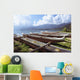Line Of Outrigger Canoes On Beach Wall Mural