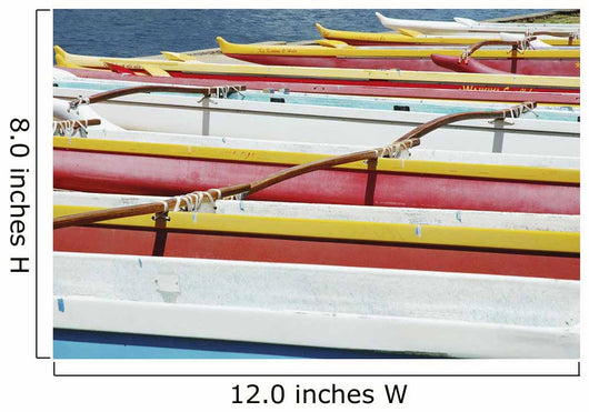 Hawaii, Oahu, Lineup Of Colorful Outrigger Canoes Wall Mural