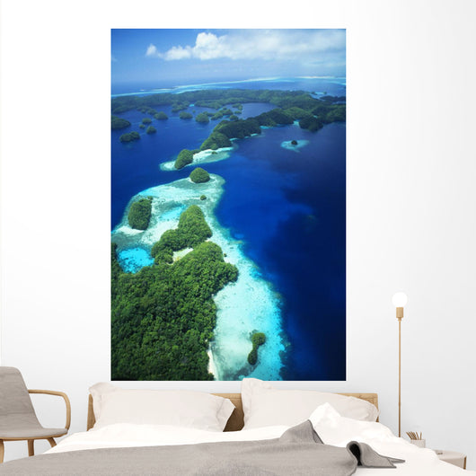 Micronesia, Palau, Rock Islands, Aerial Wall Mural