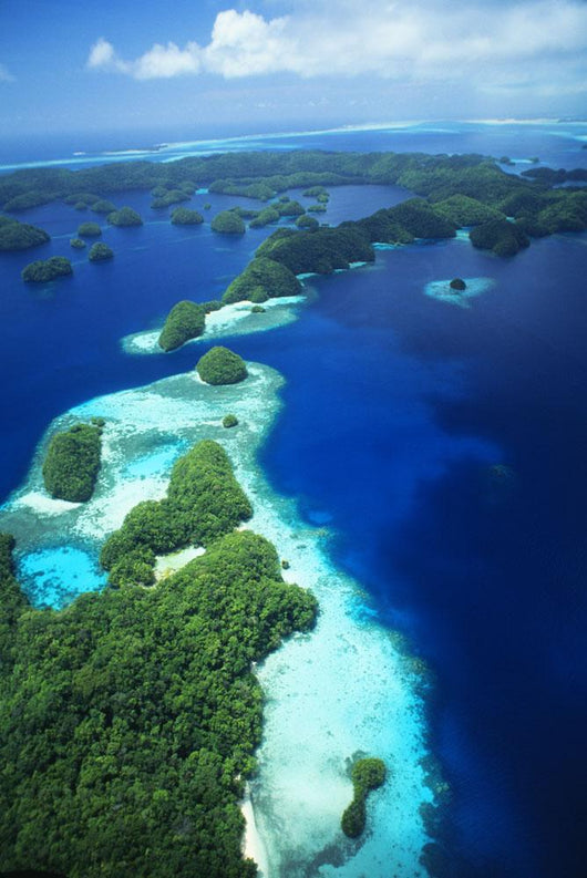 Micronesia, Palau, Rock Islands, Aerial Wall Mural