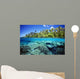 Micronesia, Coral reef Wall Mural
