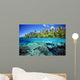 Micronesia, Coral reef Wall Mural