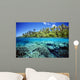 Micronesia, Coral reef Wall Mural
