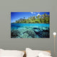 Micronesia, Coral reef Wall Mural