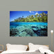 Micronesia, Coral reef Wall Mural