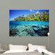 Micronesia, Coral reef Wall Mural