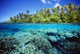Micronesia, Coral reef Wall Mural