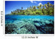 Micronesia, Coral reef Wall Mural