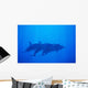 Hawaii, Dolphin Pod Swimming Together Underwater Wall Mural