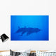 Hawaii, Dolphin Pod Swimming Together Underwater Wall Mural