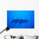 Hawaii, Dolphin Pod Swimming Together Underwater Wall Mural