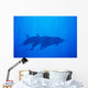 Hawaii, Dolphin Pod Swimming Together Underwater Wall Mural