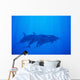 Hawaii, Dolphin Pod Swimming Together Underwater Wall Mural