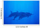 Hawaii, Dolphin Pod Swimming Together Underwater Wall Mural