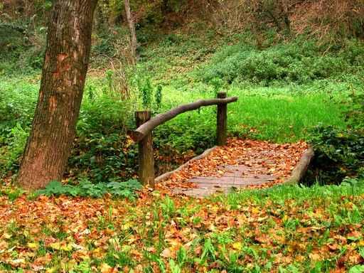 Little Bridge Forest Wall Decal