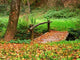 Little Bridge Forest Wall Decal
