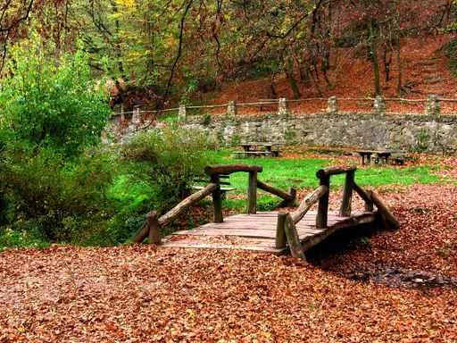 Bridge Forest Wall Decal