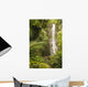 USA, Hawaii, Maui, Kipahulu, Wailua Falls surrounded by foliage Wall Mural