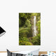 USA, Hawaii, Maui, Kipahulu, Wailua Falls surrounded by foliage Wall Mural