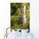 USA, Hawaii, Maui, Kipahulu, Wailua Falls surrounded by foliage Wall Mural