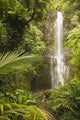 USA, Hawaii, Maui, Kipahulu, Wailua Falls surrounded by foliage Wall Mural