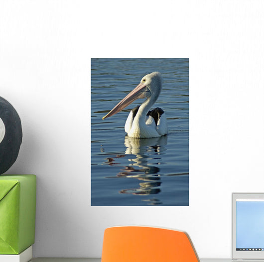 Australia, Pelican Swimming On Calm, Reflective Water Wall Mural