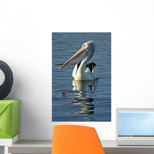Australia, Pelican Swimming On Calm, Reflective Water Wall Mural