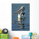 Australia, Pelican Swimming On Calm, Reflective Water Wall Mural