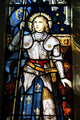 Joan of Arc in Wellington church, New Zealand Wall Mural
