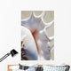Close-Up Of Spider Conch Shell Wall Mural