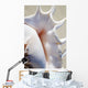 Close-Up Of Spider Conch Shell Wall Mural