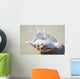 Spider Conch Seashell Laying On Sand Wall Mural