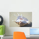 Spider Conch Seashell Laying On Sand Wall Mural