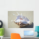 Spider Conch Seashell Laying On Sand Wall Mural