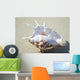 Spider Conch Seashell Laying On Sand Wall Mural