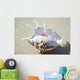 Spider Conch Seashell Laying On Sand Wall Mural